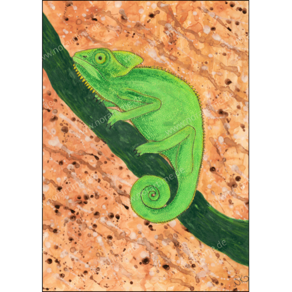 Postkarte Chamäleon