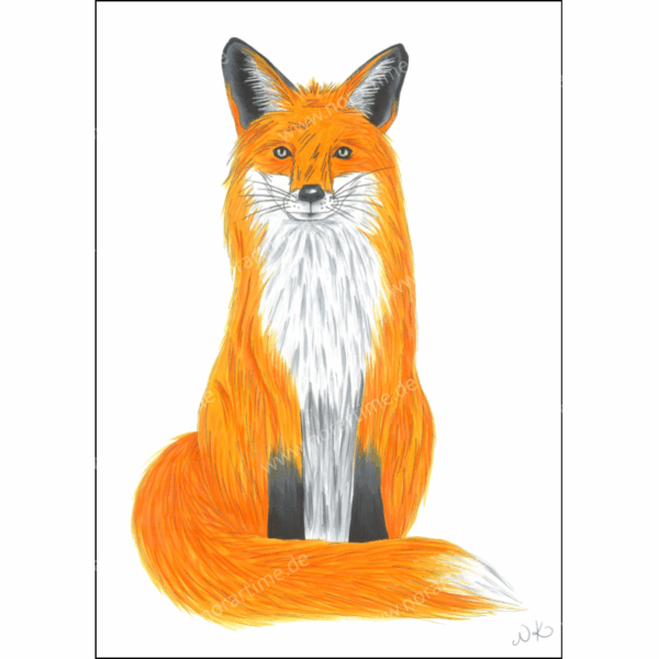 Postkarte Fuchs