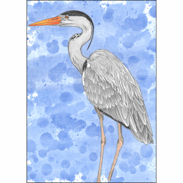 Postkarte Graureiher