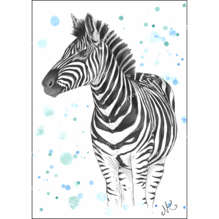 Postkarte Zebra