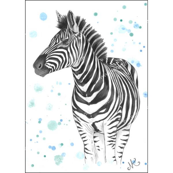 Postkarte Zebra