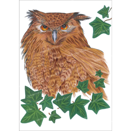 Print Eule - A3 Fineart Baumwollpapier