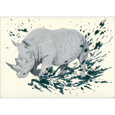 Print Nashorn - A3 Fineart Baumwollpapier